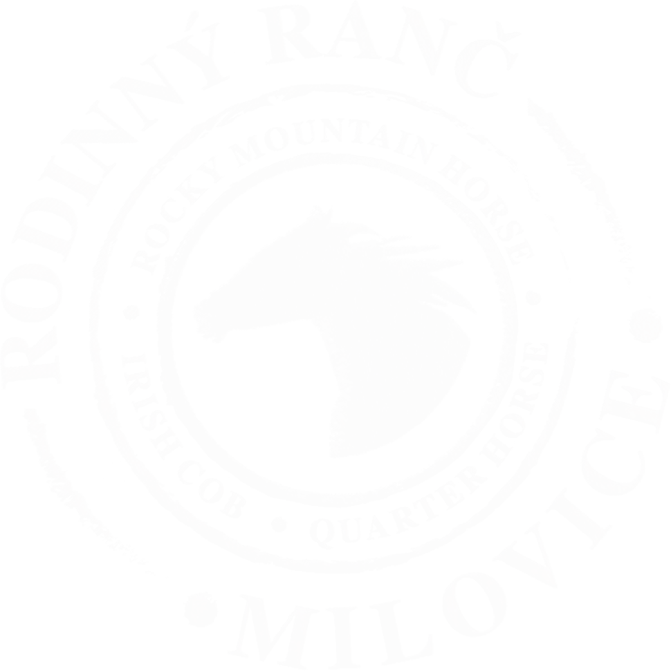 Rocky Mountain Horse