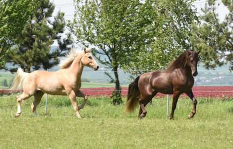 480613107_928546736111428_596507643126719913_n