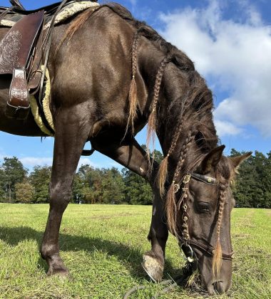 Tequila_Rodinny ranc Milovice