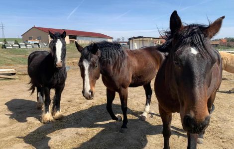 WhatsApp Image 2026-01-22 at 17.15.33